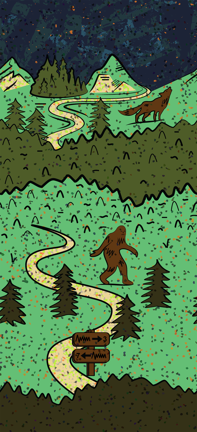 Smartwool Trail Run Targeted Cushion Neature Print Crew Socks 2025