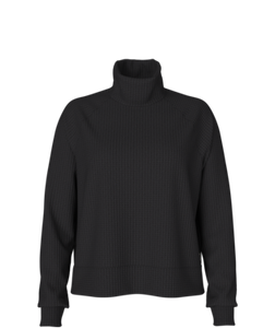 The North Face Women's Longsleeve Mock Neck Chabot